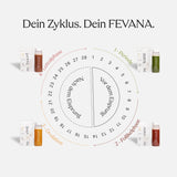 FEVANA Zyklus
