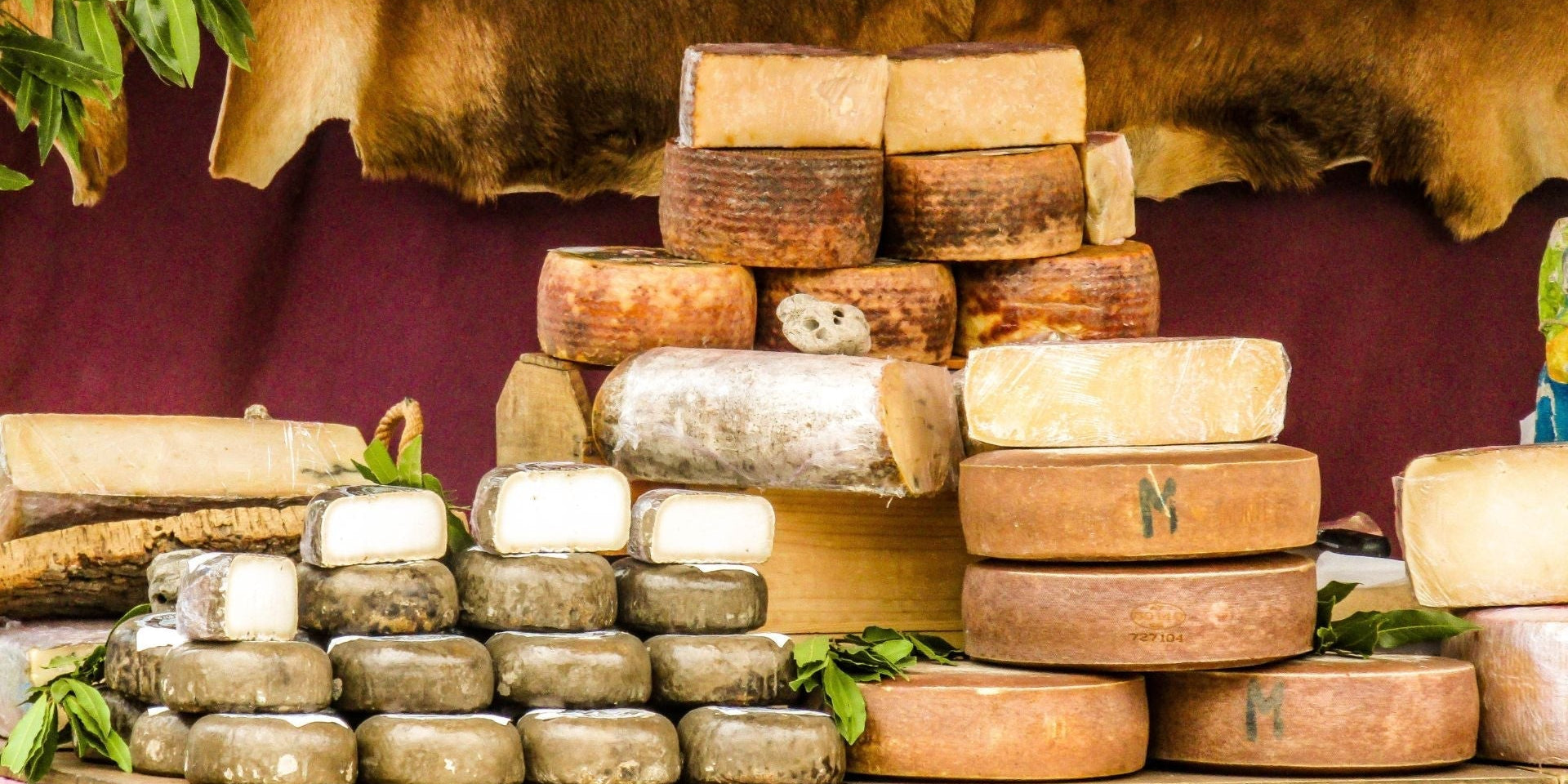 Laktose und Laktoseintoleranz: Ursachen, Symptome und Tipps für den Alltag