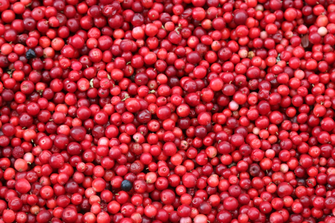 Cranberryextrakt