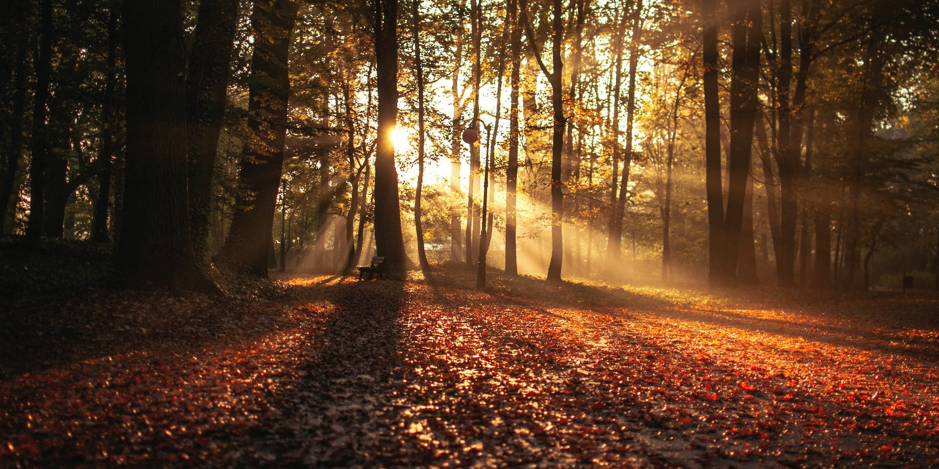 Gesund durch den Herbst.