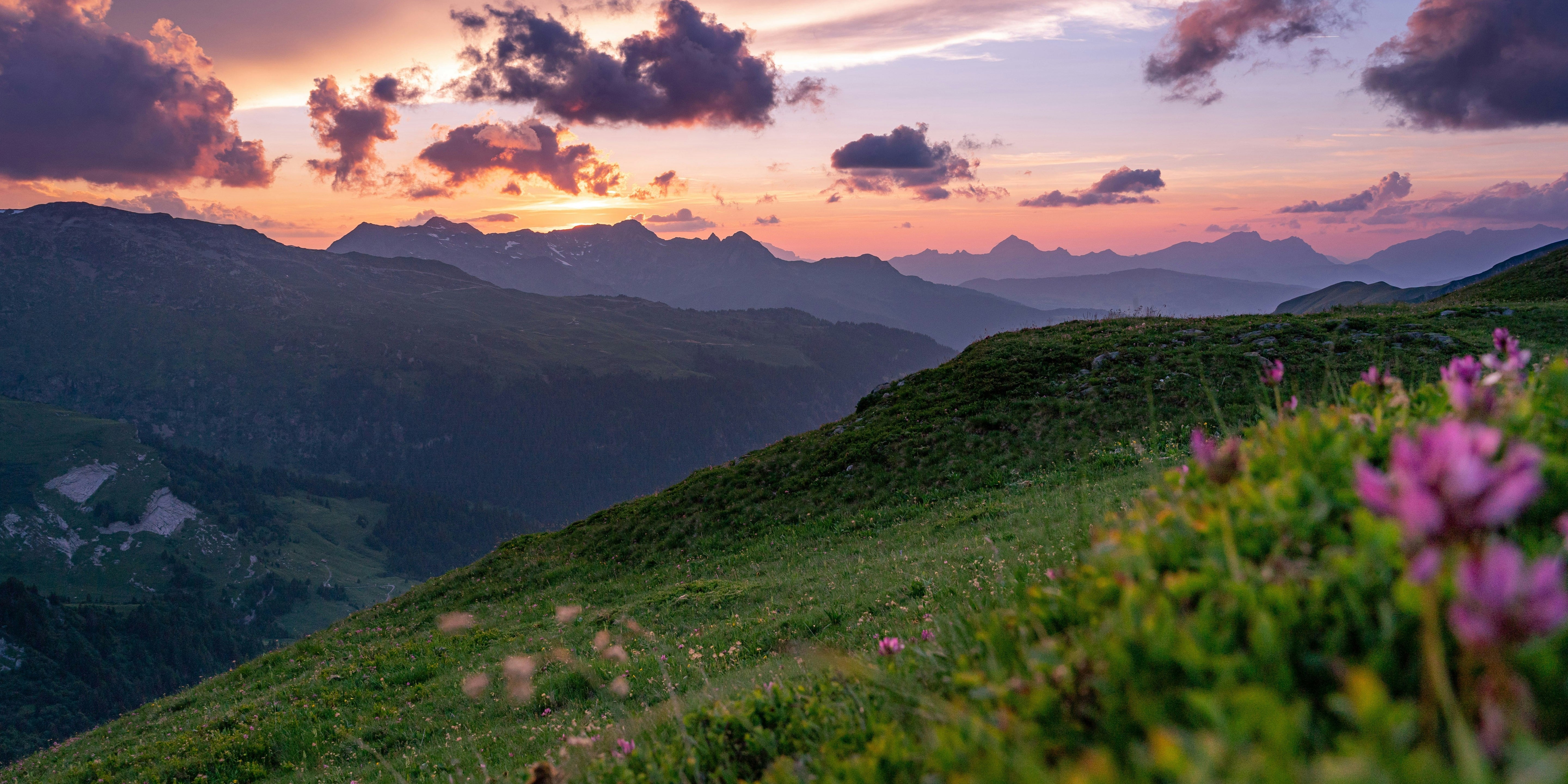 The best of mother‘s nature: Heimische Heilkräuter für Deinen Zyklus