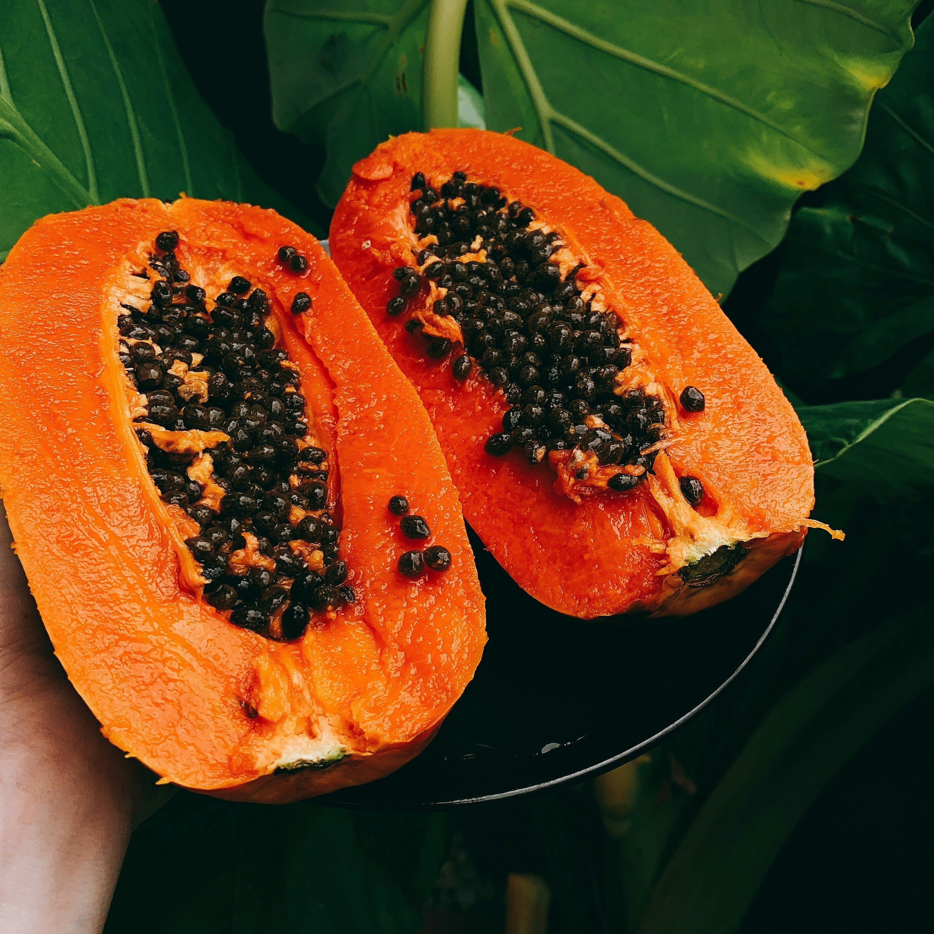 Papaya