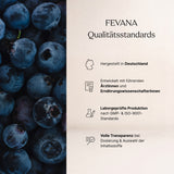 FEVANA Zyklus